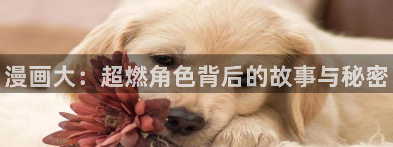 歪歪漫画主页入口：漫画大：超燃角色背后的故事与秘密