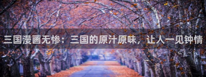 歪歪漫画主页在线观看：三国漫画无惨：三国的原汁原味，让人一见钟情