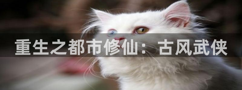 歪歪漫画免费网站：重生之都市修仙：古风武侠
