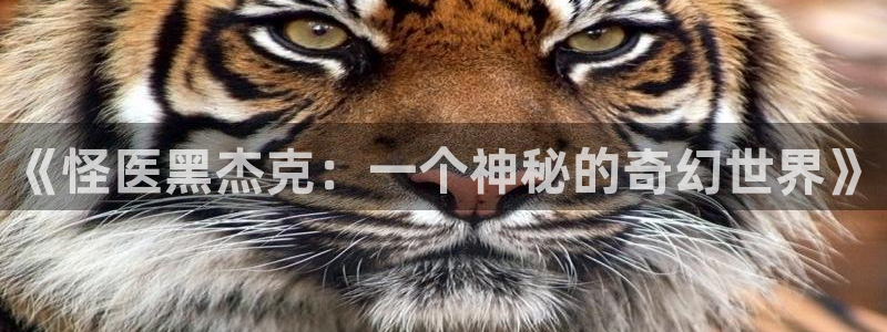网址歪歪漫画：《怪医黑杰克：一个神秘的奇幻世界》