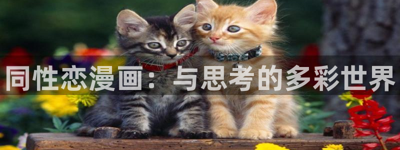 歪歪漫画免费漫画网站：同性恋漫画：与思考的多彩世界