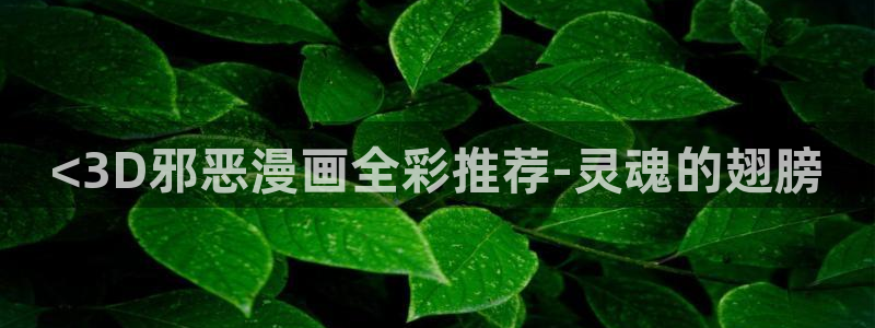 歪歪漫画av：<3D邪恶漫画全彩推荐-灵魂的翅膀