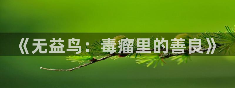 歪歪漫画免费的：《无益鸟：毒瘤里的善良》