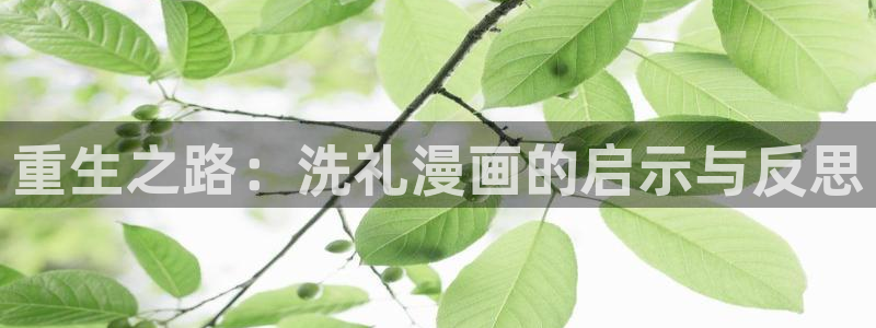 免费漫画歪歪漫画在线观看：重生之路：洗礼漫画的启示与反思