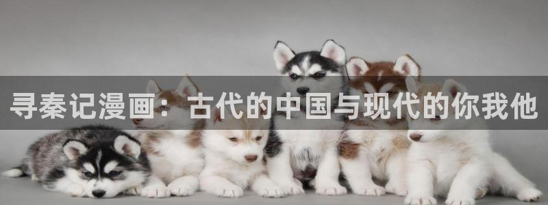 歪歪漫画在线免费观看漫画：寻秦记漫画：古代的中国与现代的你我他