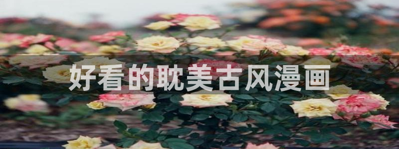 歪歪漫画首页面在线观看：好看的耽美古风漫画