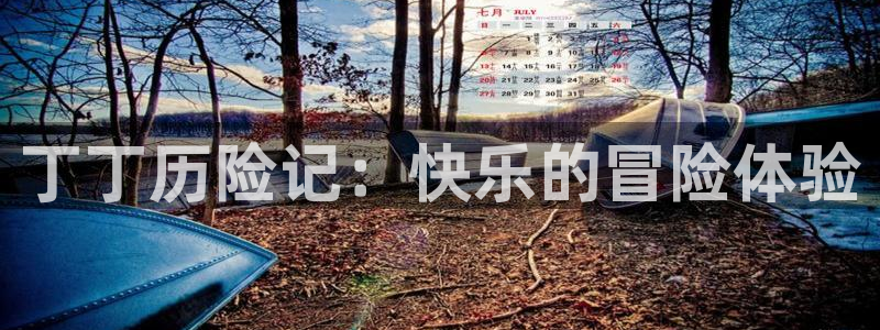 歪歪漫画小说大全：丁丁历险记：快乐的冒险体验