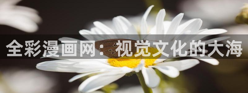 歪歪漫画韩漫在线入口：全彩漫画网：视觉文化的大海