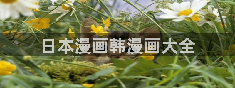 歪歪漫画在线看官网