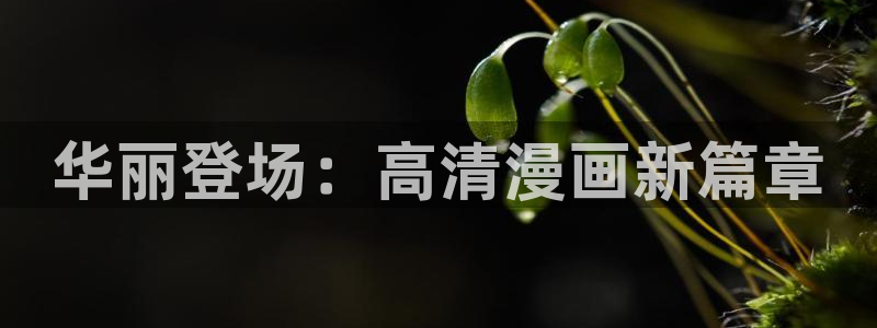 歪歪漫画在线阅读免费版大全