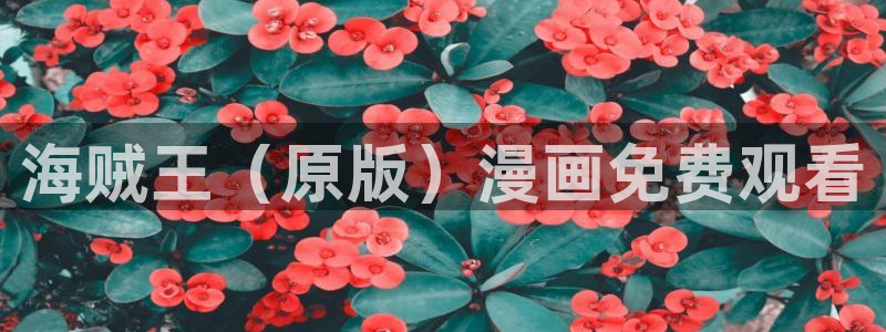 韩国歪歪漫画破解版