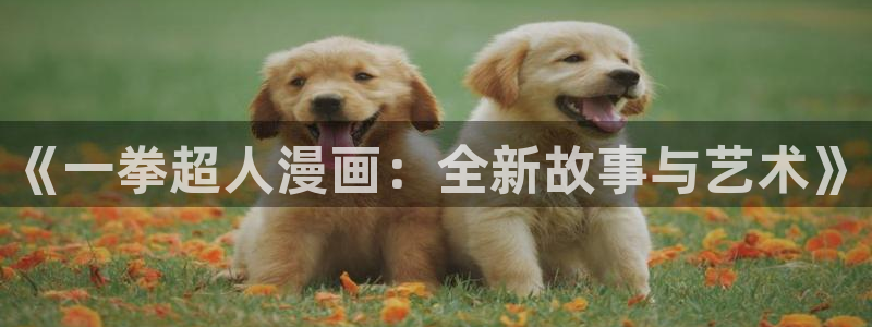 歪歪漫画免费登录入口：《一拳超人漫画：全新故事与艺术》