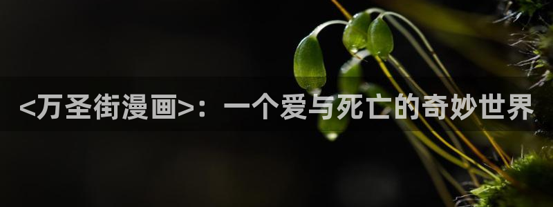 yy歪歪漫画韩漫登录页面：<万圣街漫画>：一个爱与死亡的奇妙世界